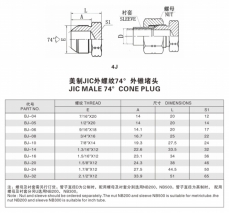 扩口式管接头—美制JIC外螺纹74°外锥堵头